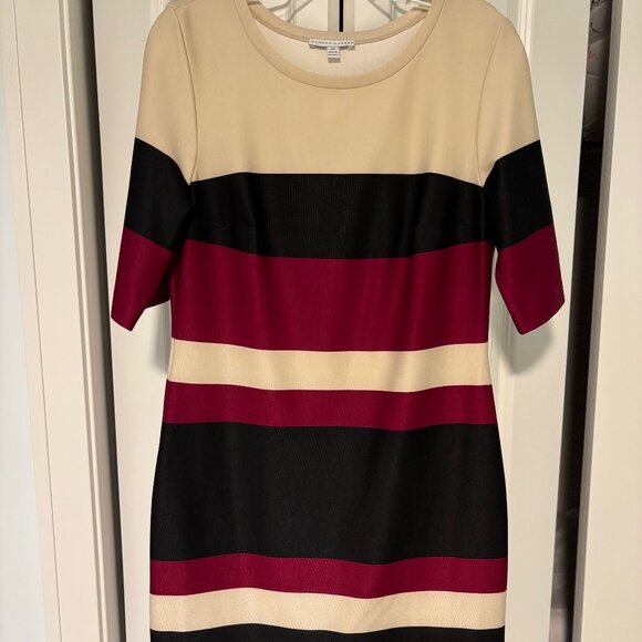 Perfect November colors / stretch knit dress from Sandra Darren. - Picture 1 of 3